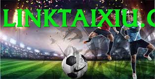 Cá Cược Thể Thao - Mu88